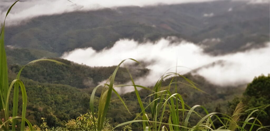 Mist drifting over the forest around Betong