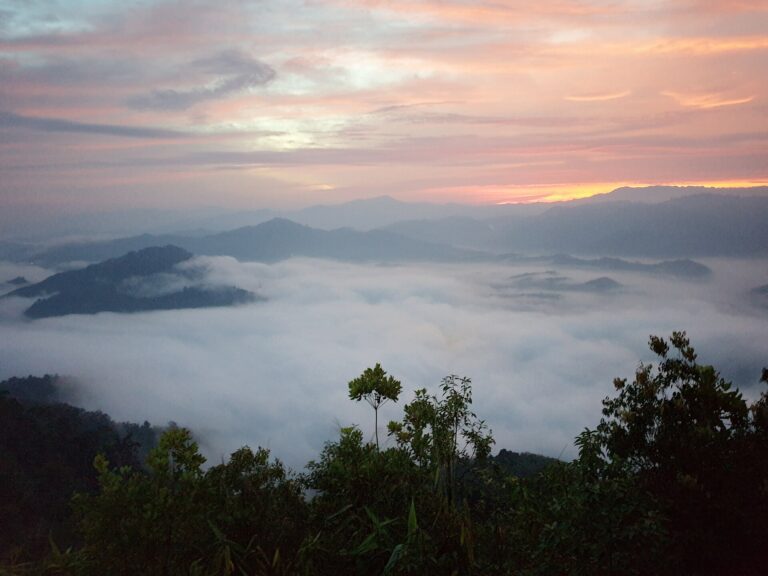 Sunrise over the mist