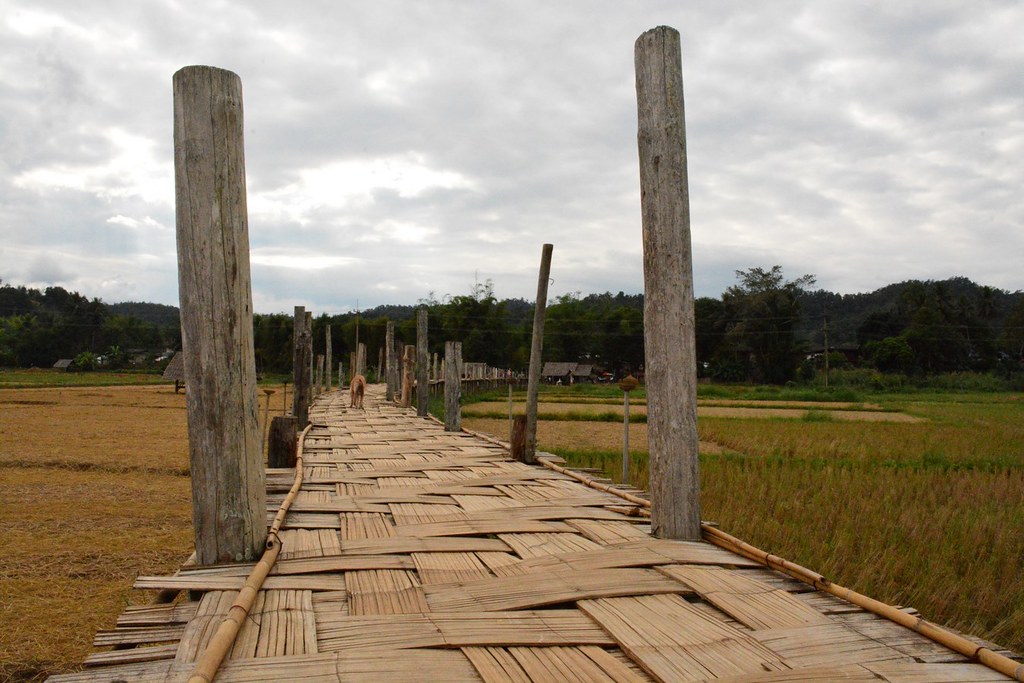 Timber posts and a woven-bamboo deck stretching across the fields